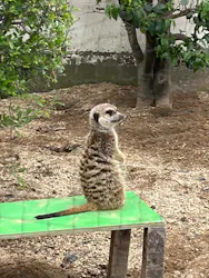 東武動物公園に投稿された画像（2026/4/29）