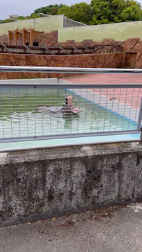 東武動物公園に投稿された画像（2026/4/29）