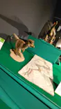 特別展「大絶滅展―生命史のビッグファイブ」に投稿された画像（2026/4/29）