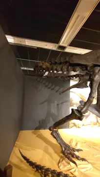特別展「大絶滅展―生命史のビッグファイブ」に投稿された画像（2026/4/29）