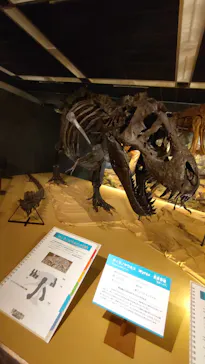 特別展「大絶滅展―生命史のビッグファイブ」に投稿された画像（2026/4/29）