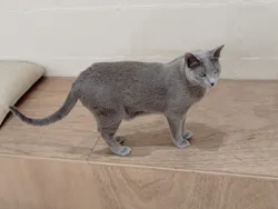 Cat Café MOFF つかしん店に投稿された画像（2026/4/29）
