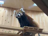 名古屋市東山動植物園に投稿された画像（2026/4/29）