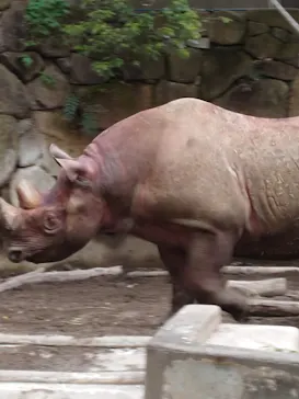 恩賜上野動物園に投稿された画像（2026/4/29）
