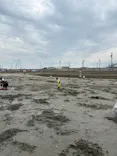 形原地先（春日浦海岸）潮干狩り場に投稿された画像（2026/4/29）