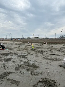 形原地先（春日浦海岸）潮干狩り場に投稿された画像（2026/4/29）