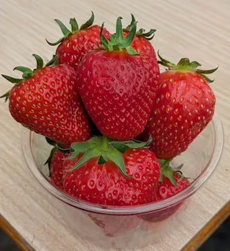 いちごICHIJYU FRUIT FARMに投稿された画像（2026/4/29）