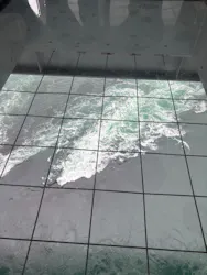 徳島県立 渦の道に投稿された画像（2026/4/29）