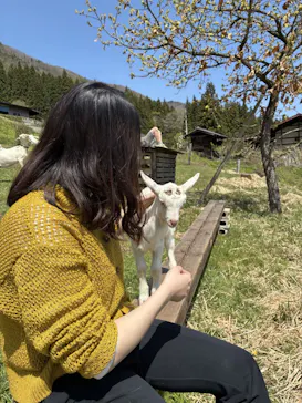 小さな山羊牧場に投稿された画像（2026/4/29）