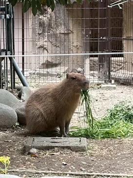 名古屋市東山動植物園に投稿された画像（2026/4/29）