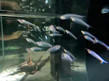 NIFREL（ニフレル）に投稿された画像（2026/4/29）