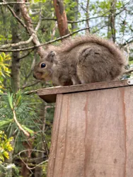 那須どうぶつ王国に投稿された画像（2026/4/29）