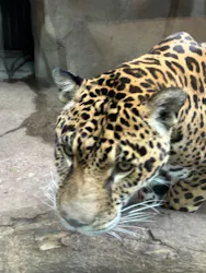 那須どうぶつ王国に投稿された画像（2026/4/29）