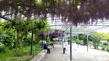 万博記念公園に投稿された画像（2026/4/29）