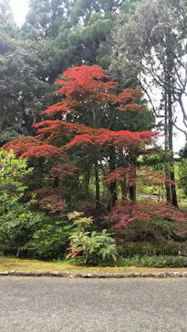 万博記念公園に投稿された画像（2026/4/29）