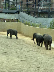 天王寺動物園に投稿された画像（2026/4/29）