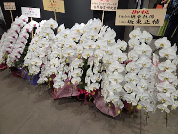 武豊 デビュー40年 ～前人未到の記録～　（銀座三越）に投稿された画像（2026/4/29）