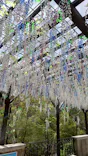 箱根ガラスの森美術館に投稿された画像（2026/4/29）