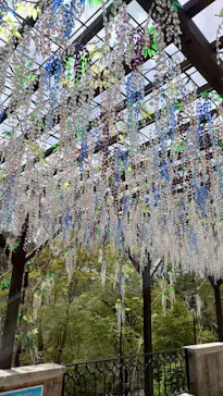 箱根ガラスの森美術館に投稿された画像（2026/4/29）
