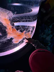 マクセル アクアパーク品川に投稿された画像（2026/4/29）