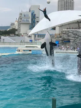 鴨川シーワールドに投稿された画像（2026/4/29）