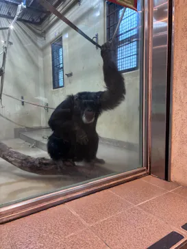 多摩動物公園に投稿された画像（2026/4/29）