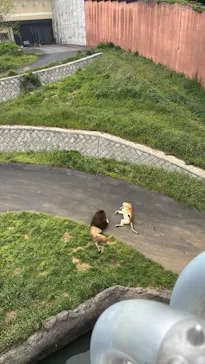 多摩動物公園に投稿された画像（2026/4/29）