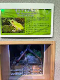 島根県立 しまね海洋館に投稿された画像（2026/4/29）