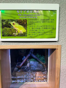 島根県立 しまね海洋館に投稿された画像（2026/4/29）