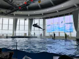 アクアワールド茨城県大洗水族館に投稿された画像（2026/4/29）