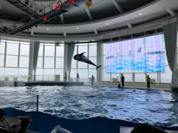 アクアワールド茨城県大洗水族館に投稿された画像（2026/4/29）