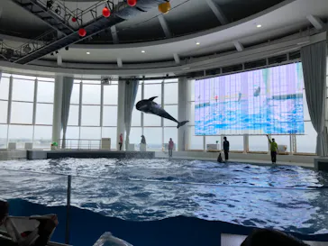 アクアワールド茨城県大洗水族館に投稿された画像（2026/4/29）