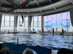 アクアワールド茨城県大洗水族館に投稿された画像（2026/4/29）