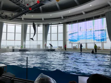 アクアワールド茨城県大洗水族館に投稿された画像（2026/4/29）