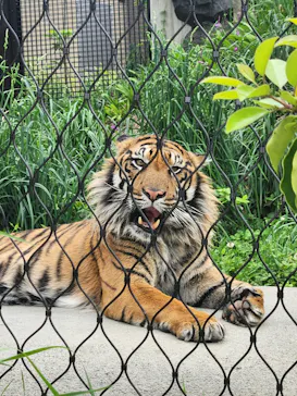 名古屋市東山動植物園に投稿された画像（2026/4/29）
