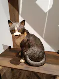 はしもとみお木彫展 いきものたちとの旅（氷見市芸術文化館）に投稿された画像（2026/4/29）
