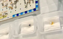 しながわ水族館に投稿された画像（2026/4/29）