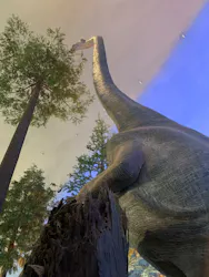 福井県立恐竜博物館に投稿された画像（2026/4/29）