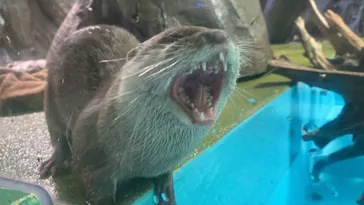 竹島水族館に投稿された画像（2026/4/29）