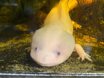 竹島水族館に投稿された画像（2026/4/29）