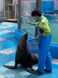 ゼロ距離水族館 伊勢シーパラダイスに投稿された画像（2026/4/29）