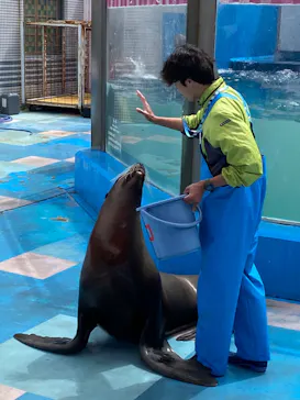 ゼロ距離水族館 伊勢シーパラダイスに投稿された画像（2026/4/29）