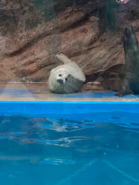 ゼロ距離水族館 伊勢シーパラダイスに投稿された画像（2026/4/29）