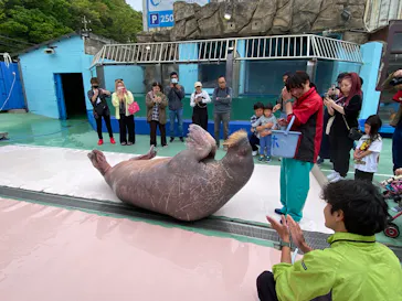 ゼロ距離水族館 伊勢シーパラダイスに投稿された画像（2026/4/29）