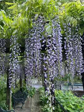 ACAO FORESTに投稿された画像（2026/4/29）