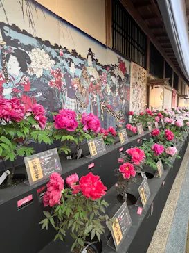日本庭園　由志園に投稿された画像（2026/4/29）