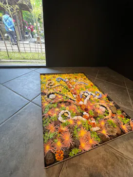 日本庭園　由志園に投稿された画像（2026/4/29）
