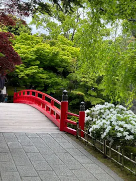 日本庭園　由志園に投稿された画像（2026/4/29）