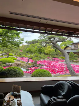 日本庭園　由志園に投稿された画像（2026/4/29）