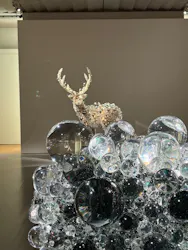 彫刻の森美術館に投稿された画像（2026/4/29）